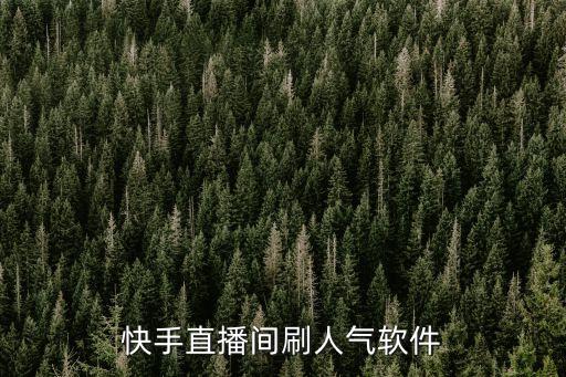快手直播间刷人气软件