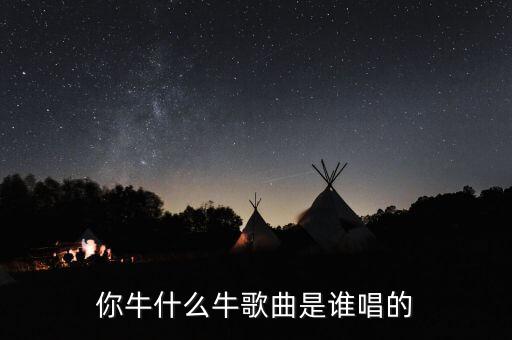 你牛什么牛歌曲是谁唱的