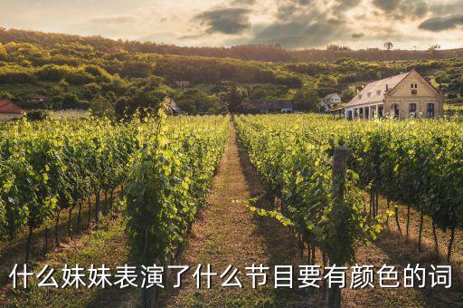 什么妹妹表演了什么节目要有颜色的词