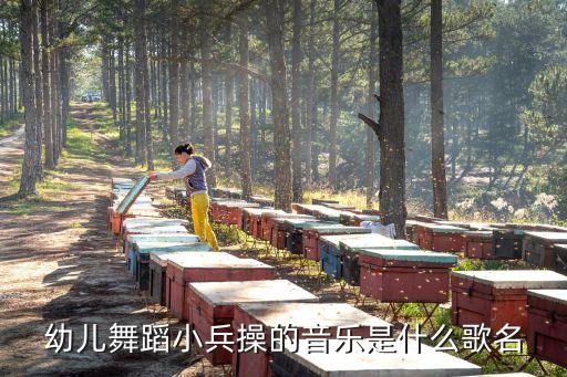 幼儿舞蹈小兵操的音乐是什么歌名