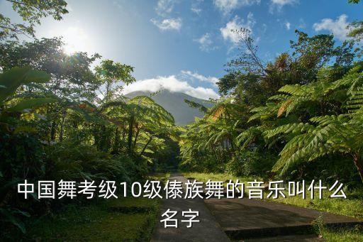 中国舞考级10级傣族舞的音乐叫什么名字