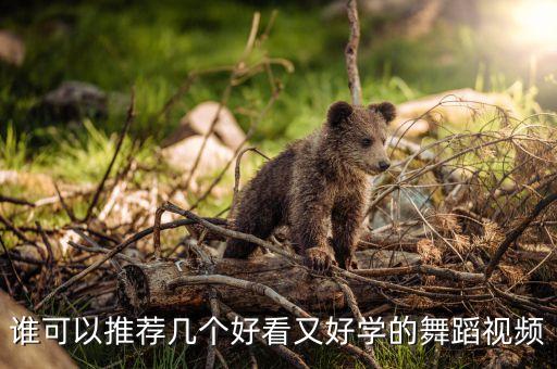 好看的舞蹈动作视频，谁可以推荐几个好看又好学的舞蹈视频