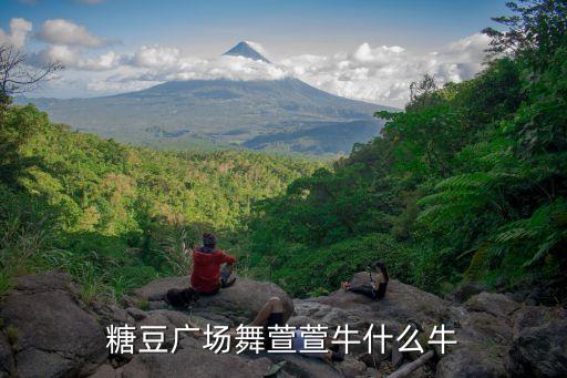 糖豆广场舞萱萱牛什么牛