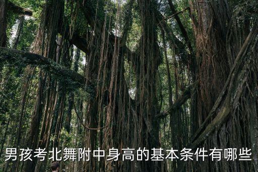 男孩考北舞附中身高的基本条件有哪些