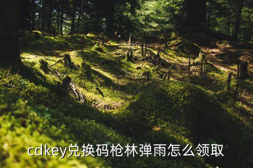 cdkey兑换码枪林弹雨怎么领取
