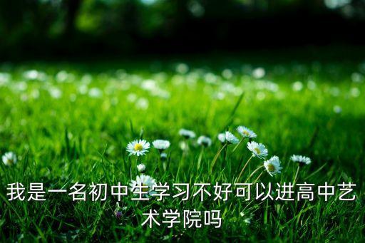 我是一名初中生学习不好可以进高中艺术学院吗