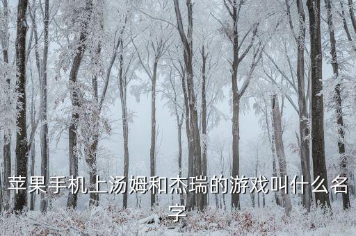 苹果手机上汤姆和杰瑞的游戏叫什么名字