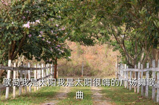 歌词我是太阳我是太阳很嗨的广场舞歌曲