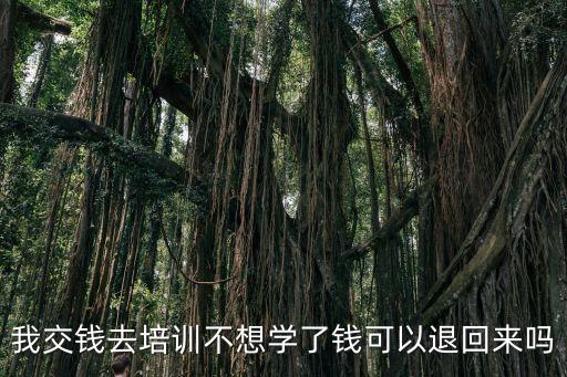 我交钱去培训不想学了钱可以退回来吗