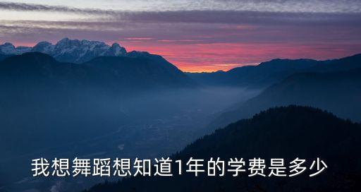 我想舞蹈想知道1年的学费是多少