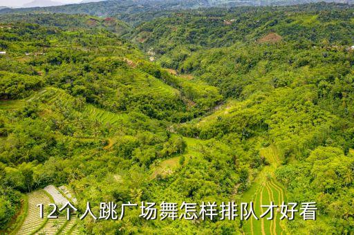 12个人跳广场舞怎样排队才好看