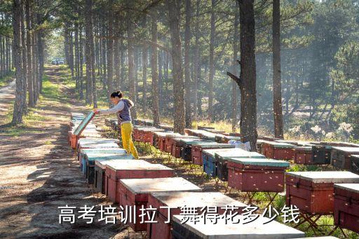 高考培训拉丁舞得花多少钱