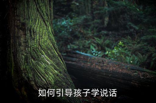 如何引导孩子学说话