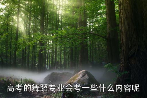 高考的舞蹈专业会考一些什么内容呢
