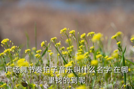 怎么找广场舞的歌名是什么，哪个音乐软件能找到很多广场舞的歌曲