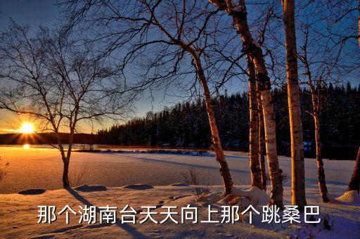 那个湖南台天天向上那个跳桑巴