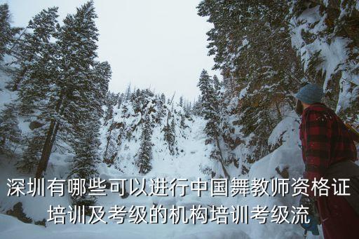 舞蹈教师资格证培训班，深圳有哪些可以进行中国舞教师资格证培训及考级的机构培训考级流