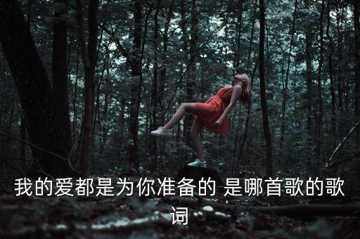 我的爱都是为你准备的 是哪首歌的歌词