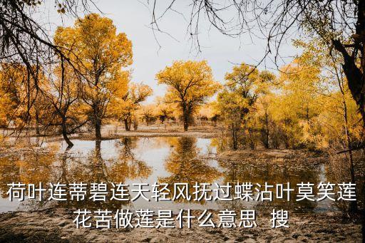 来生愿做一朵莲什么意思，荷叶连蒂碧连天轻风抚过蝶沾叶莫笑莲花苦做莲是什么意思  搜