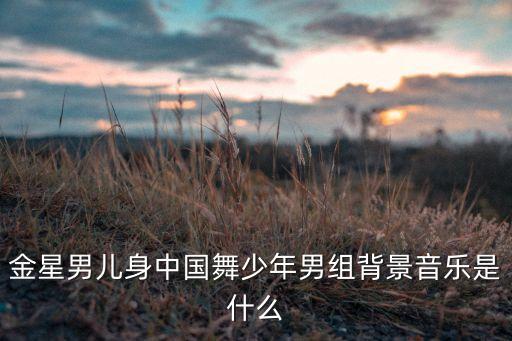 金星男儿身中国舞少年男组背景音乐是什么