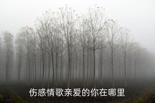 伤感情歌亲爱的你在哪里