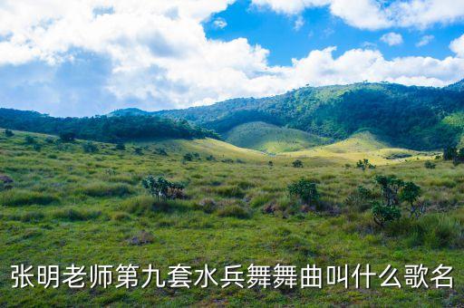 水兵舞武汉休闲舞曲名子叫什么，水兵舞舞曲的歌名