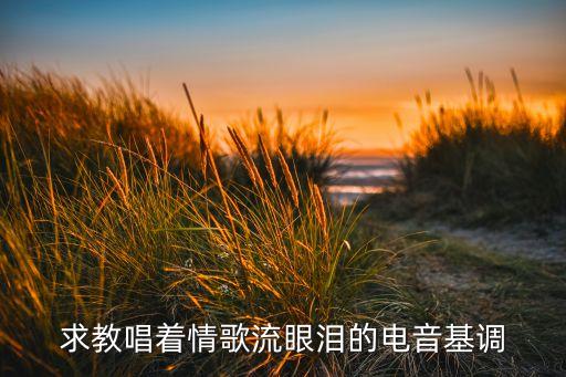 求教唱着情歌流眼泪的电音基调