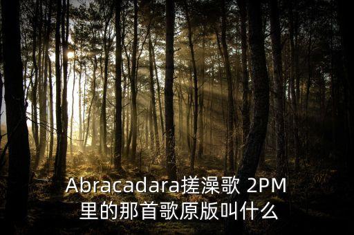 Abracadara搓澡歌 2PM 里的那首歌原版叫什么