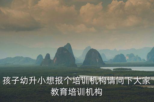 孩子幼升小想报个培训机构请问下大家教育培训机构