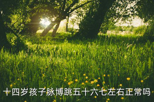 十四岁孩子脉博跳五十六七左右正常吗