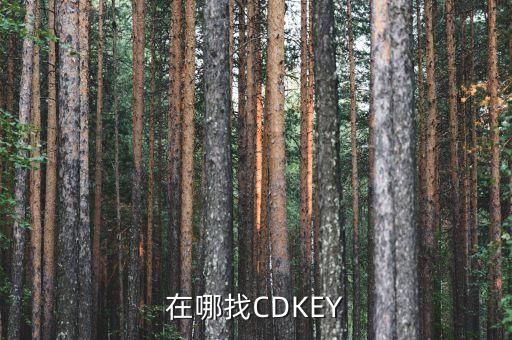 在哪找CDKEY