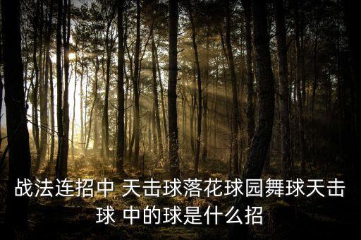 广场舞里的球是什么球，水晶球舞蹈的水晶球是怎么做的哪里有做的