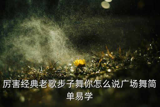 厉害经典老歌步子舞你怎么说广场舞简单易学
