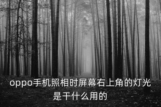 oppo手机照相时屏幕右上角的灯光是干什么用的