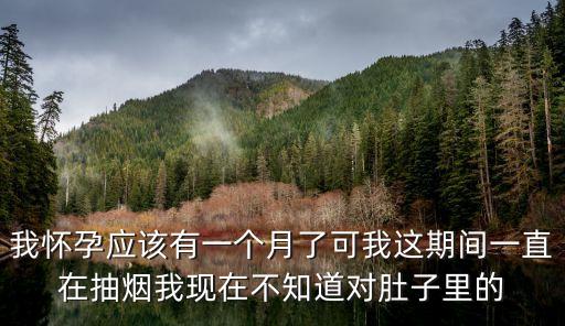 我怀孕应该有一个月了可我这期间一直在抽烟我现在不知道对肚子里的