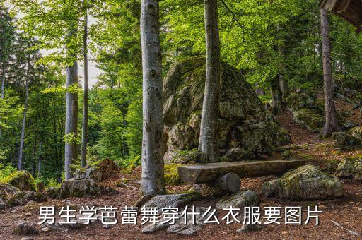 男生学芭蕾舞穿什么衣服要图片
