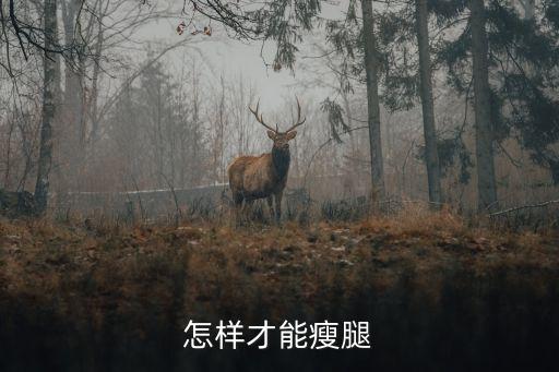 怎么样瘦腿 迅雷下载，怎样才能瘦腿