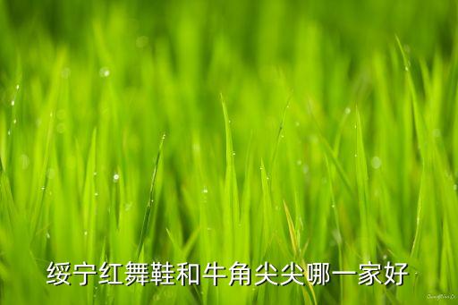 绥宁红舞鞋和牛角尖尖哪一家好
