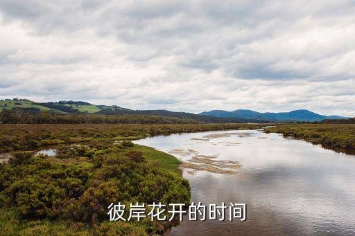 西湖莉莉叫什么名，帮我想个情侣网名