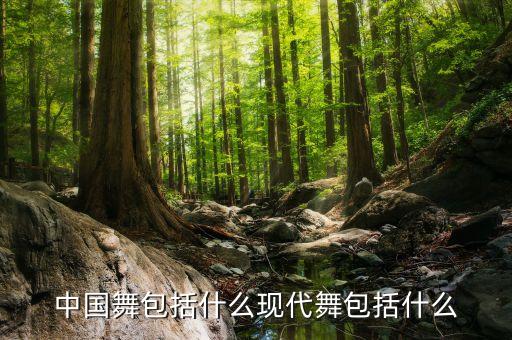 中国舞包括什么现代舞包括什么