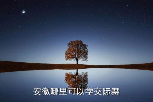 安徽哪里可以学交际舞