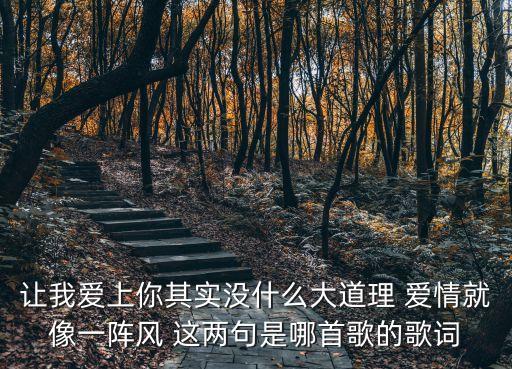 让我爱上你其实没什么道理，找首歌 里面的歌词是 让我爱上你其实没道理 只记得这么多了  搜