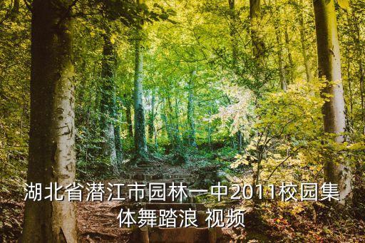 湖北省潜江市园林一中2011校园集体舞踏浪 视频