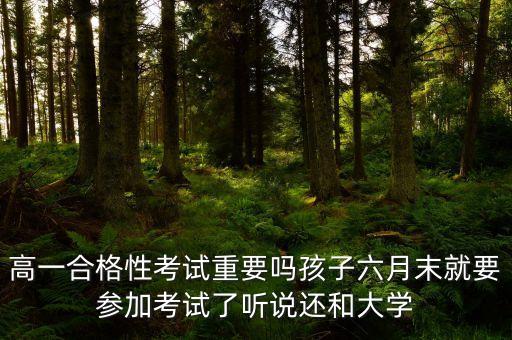 高中学考合格性考试，高一合格性考试重要吗孩子六月末就要参加考试了听说还和大学