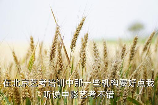 在北京艺考培训中那一些机构要好点我听说中影艺考不错