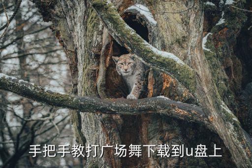 手把手教打广场舞下载到u盘上