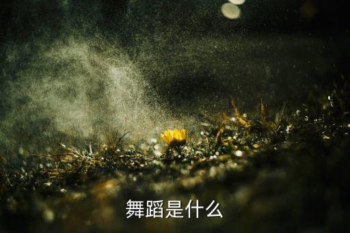舞蹈是什么