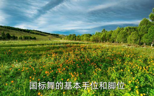 国标舞的基本手位和脚位