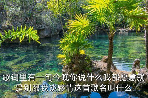 歌词里有一句今晚你说什么我都愿意就是别跟我谈感情这首歌名叫什么