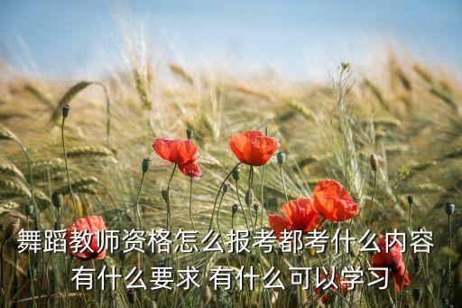 舞蹈教师资格怎么报考都考什么内容 有什么要求 有什么可以学习